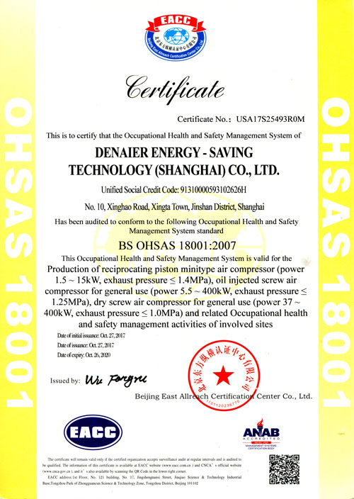 BS OHSAS 180012007（英文）